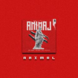 Cover of Animal