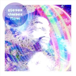 Cover of Flow