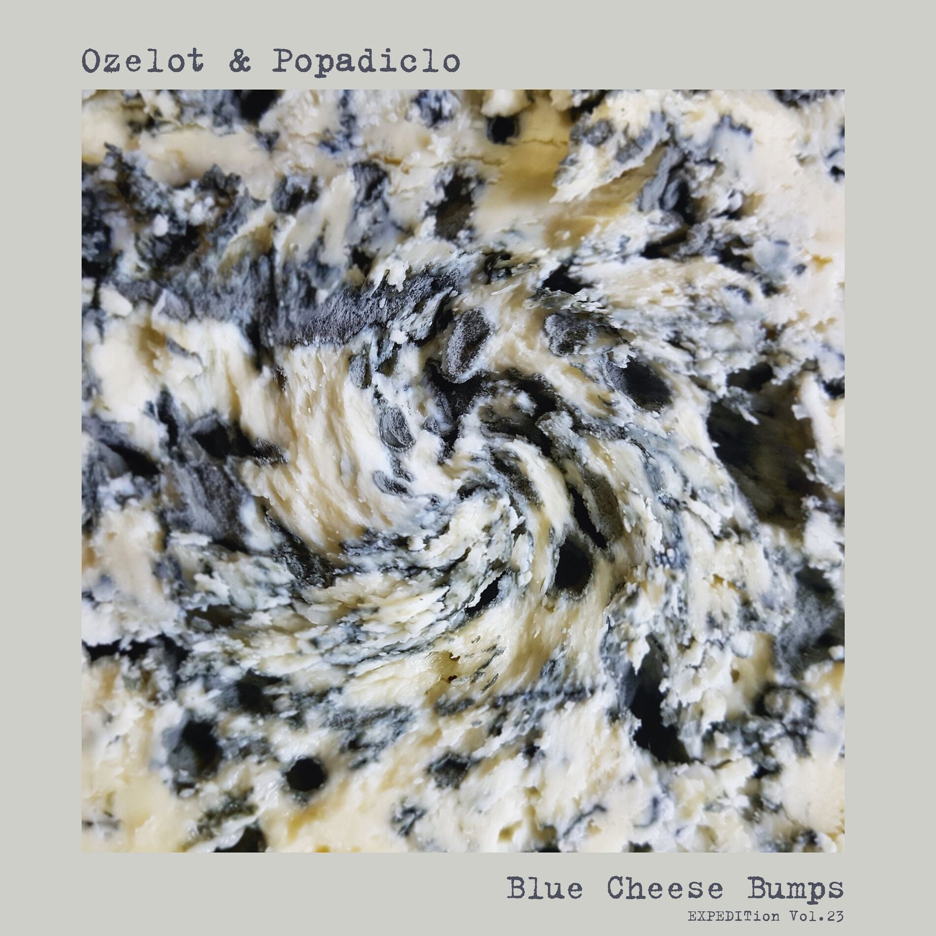 Album cover of EXPEDITion, Vol. 23: Blue Cheese Bumps