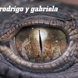 Cover of Rodrigo y Gabriela