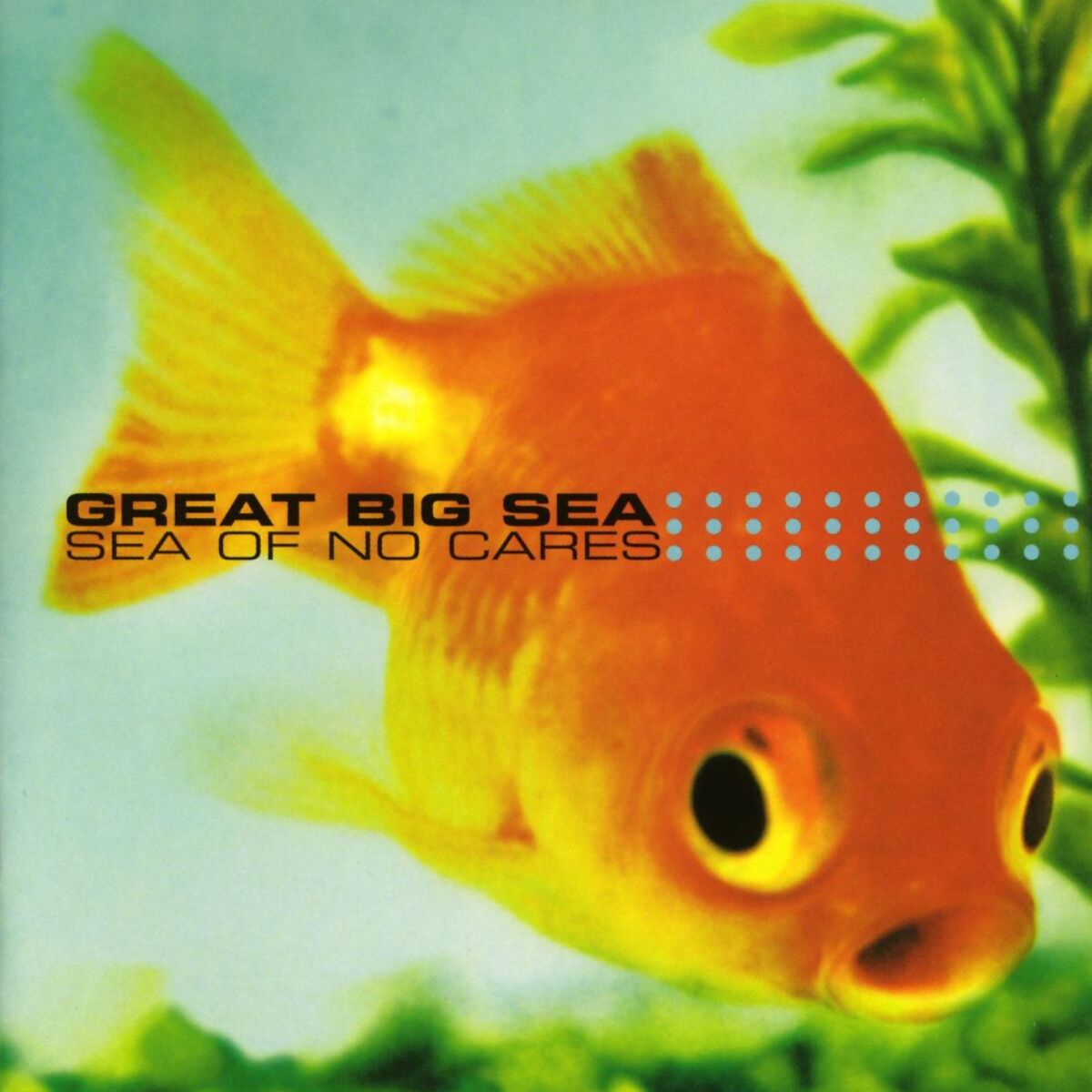 Album cover of Sea Of No Cares