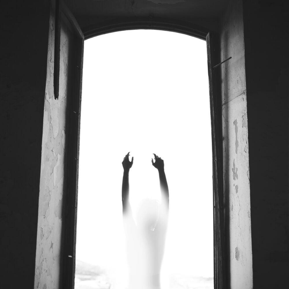 Picture of Hand Shadows