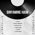 Binyamine Haim (A Capella)