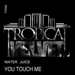 Cover of You Touch Me