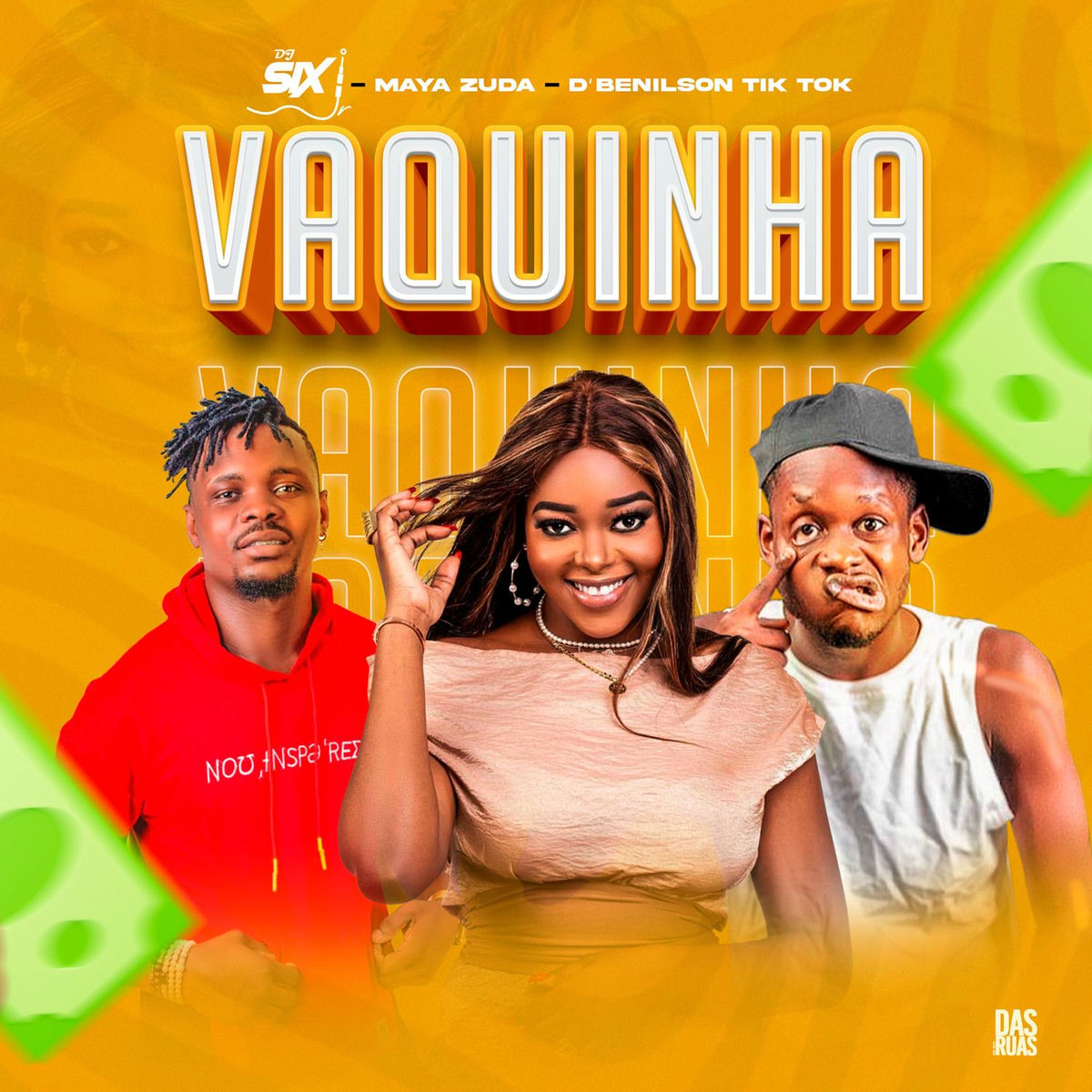 Album cover of VAQUINHA