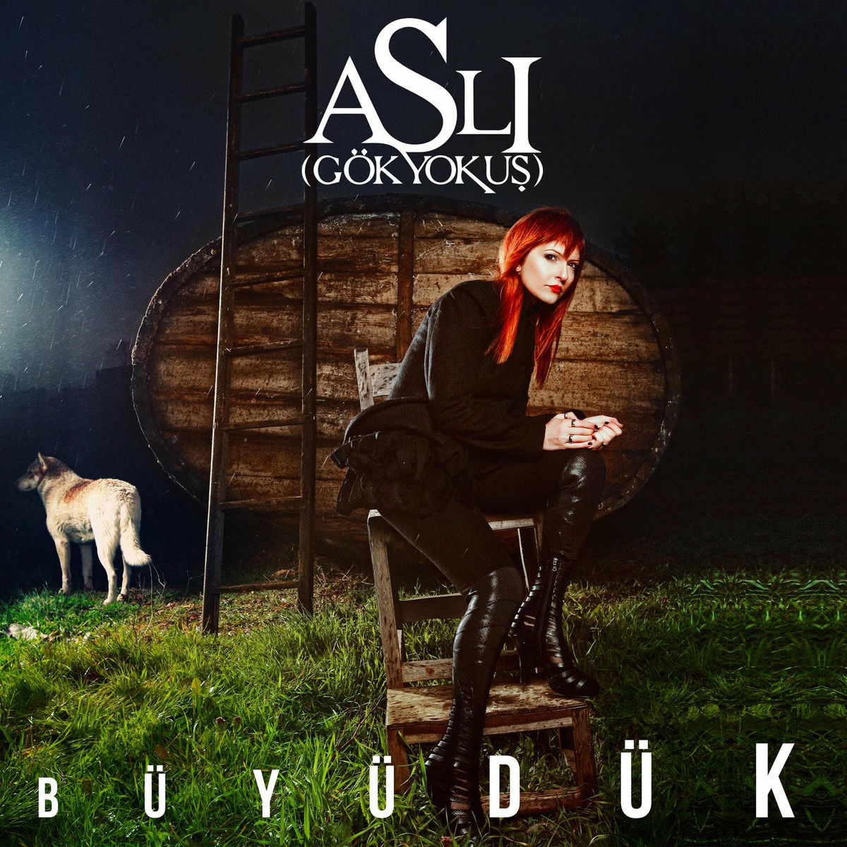 Album cover of Büyüdük