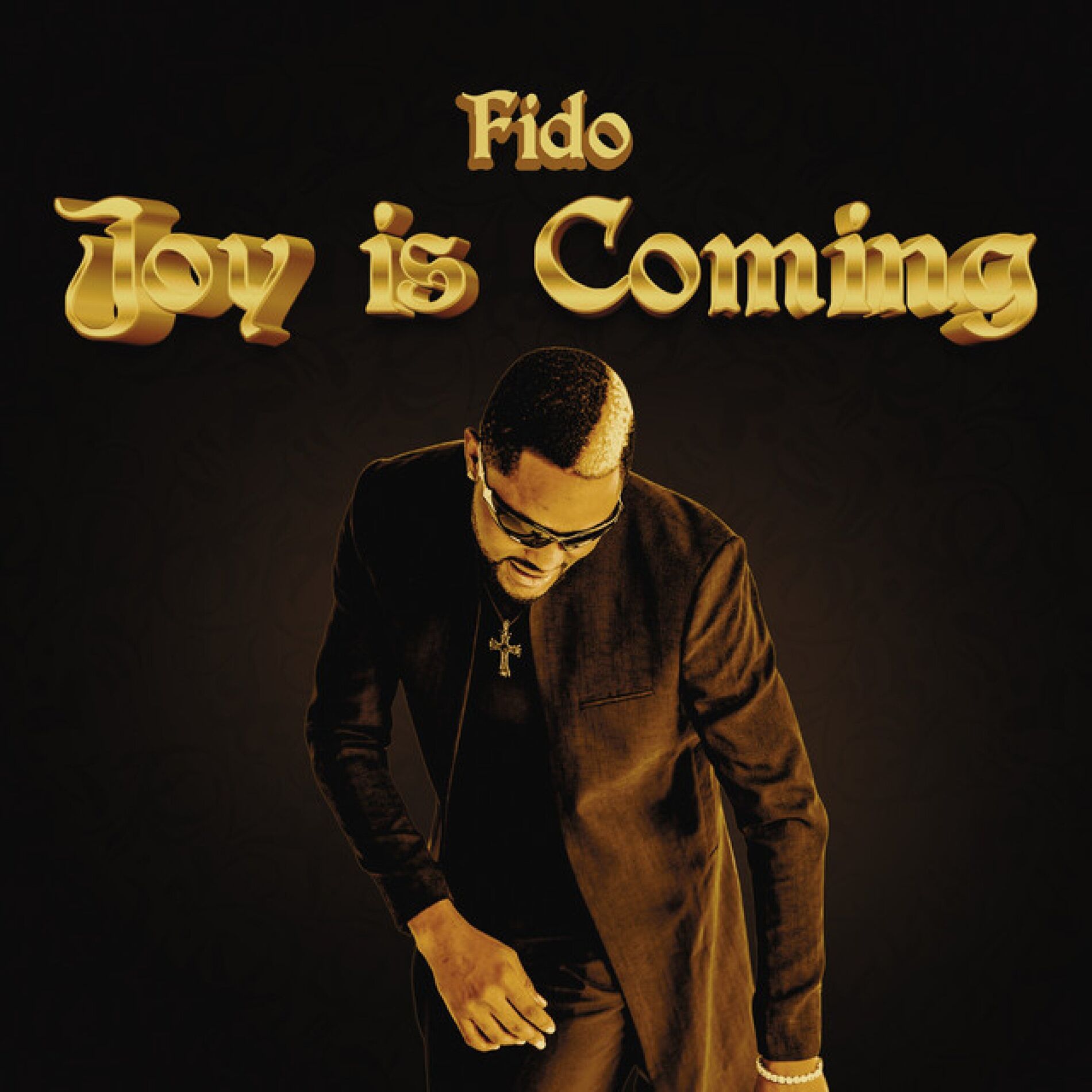 Album cover of Joy Is Coming
