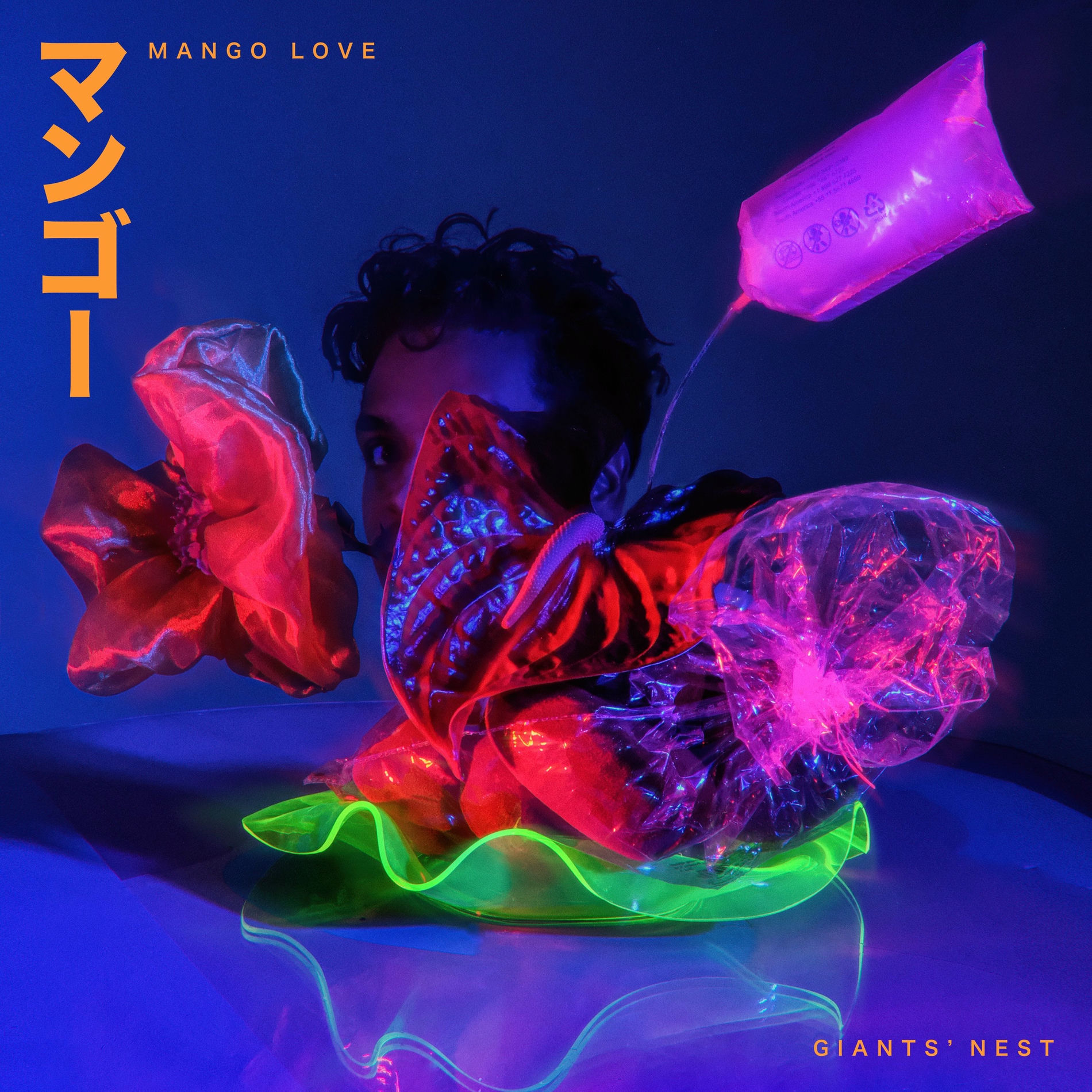 Album cover of Mango Love