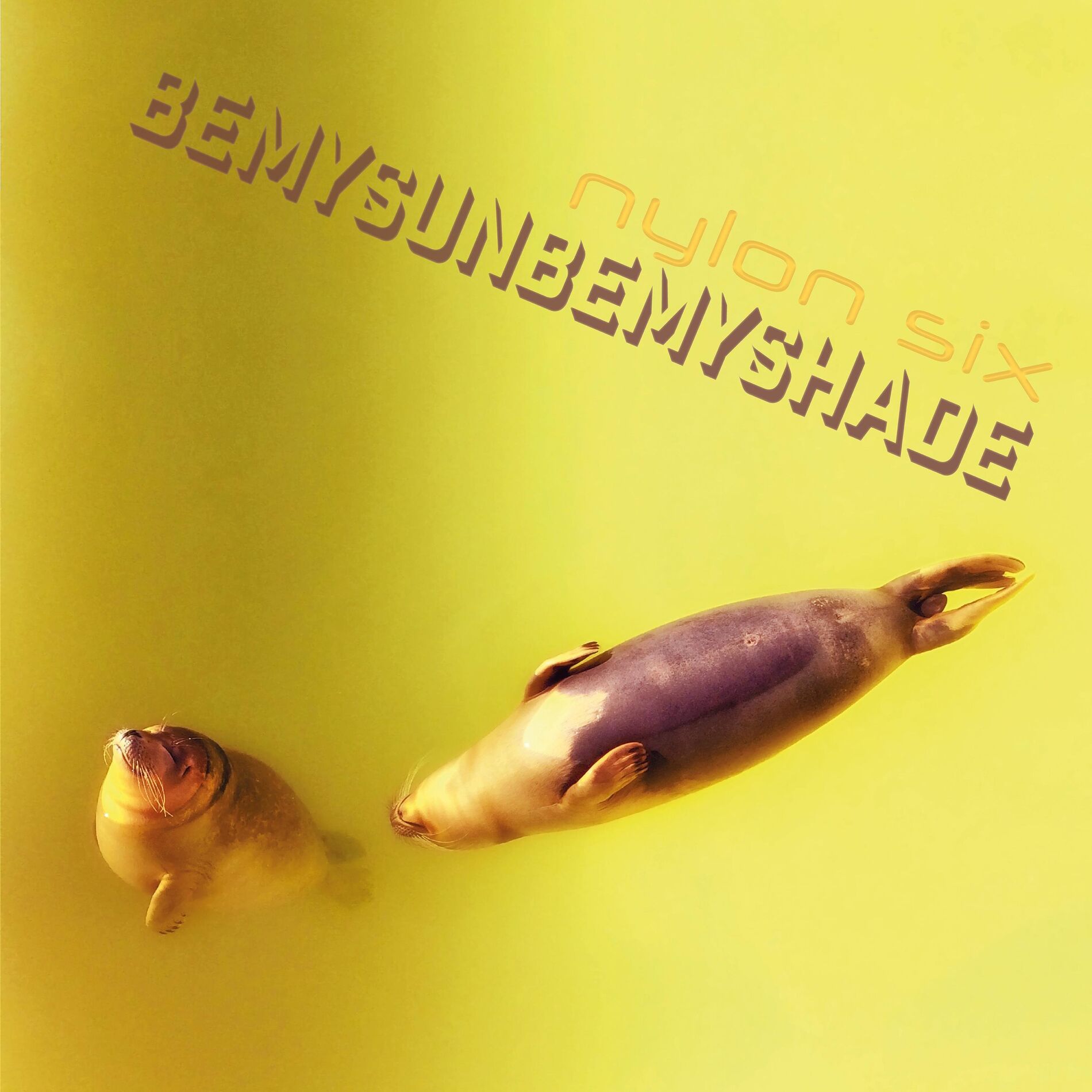 Album cover of Bemysunbemyshade