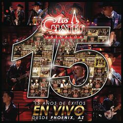 Cover of 15 Años de Exitos en Vivo Desde Phoenix AZ