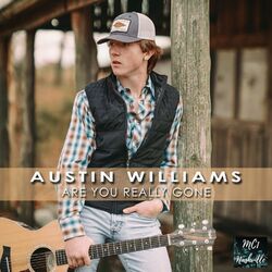 Cover of Are You Really Gone