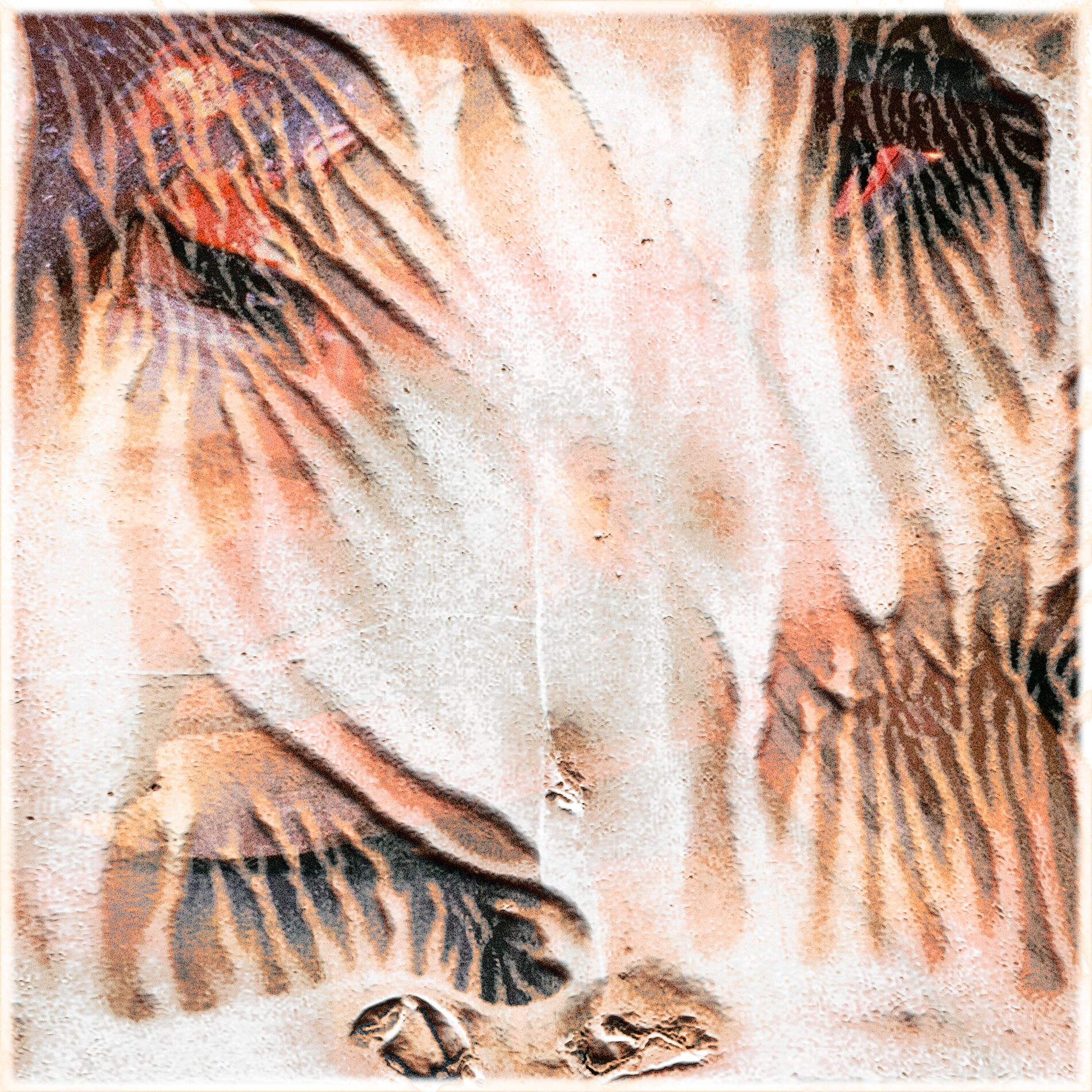 Album cover of Spot