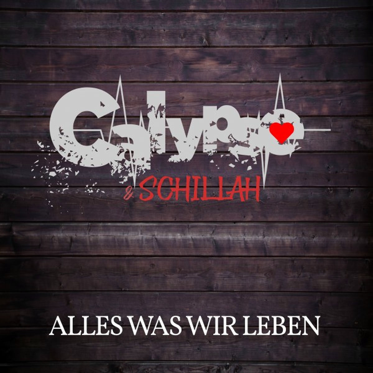 Album cover of Alles was wir leben