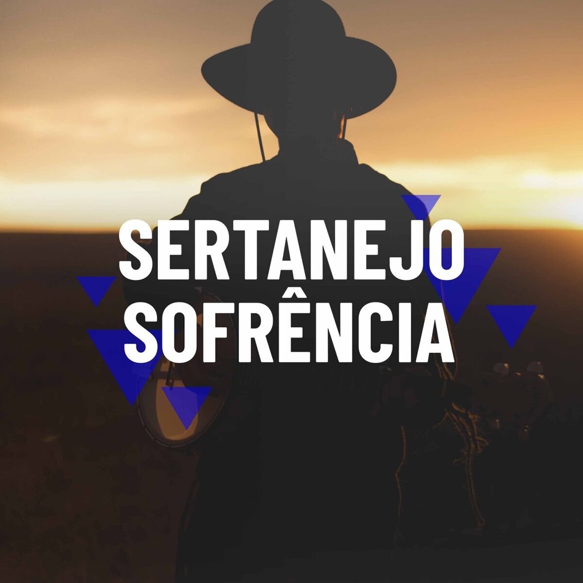 Album cover of Surto De Amor
