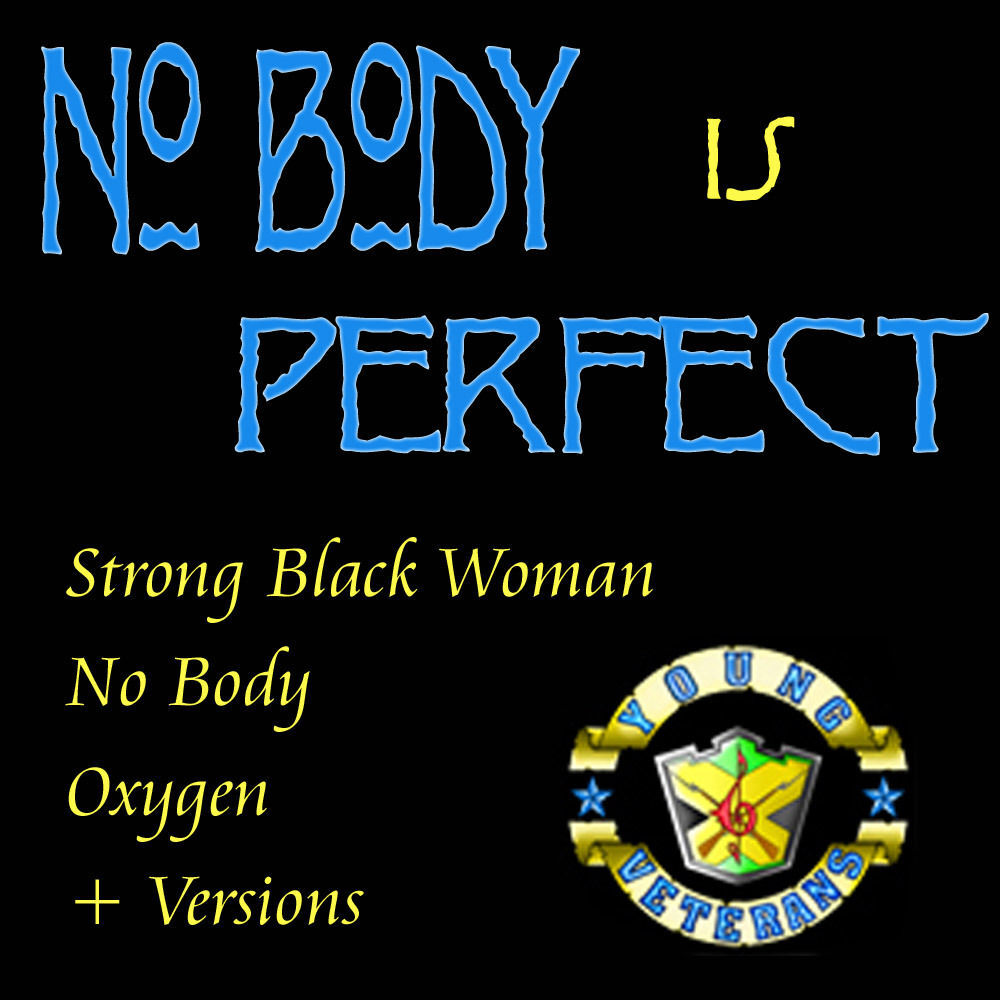 Picture of Nobody Is Perfect