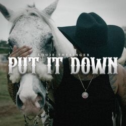Cover of Put It Down