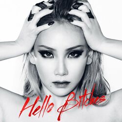 Cover of Hello Bitches