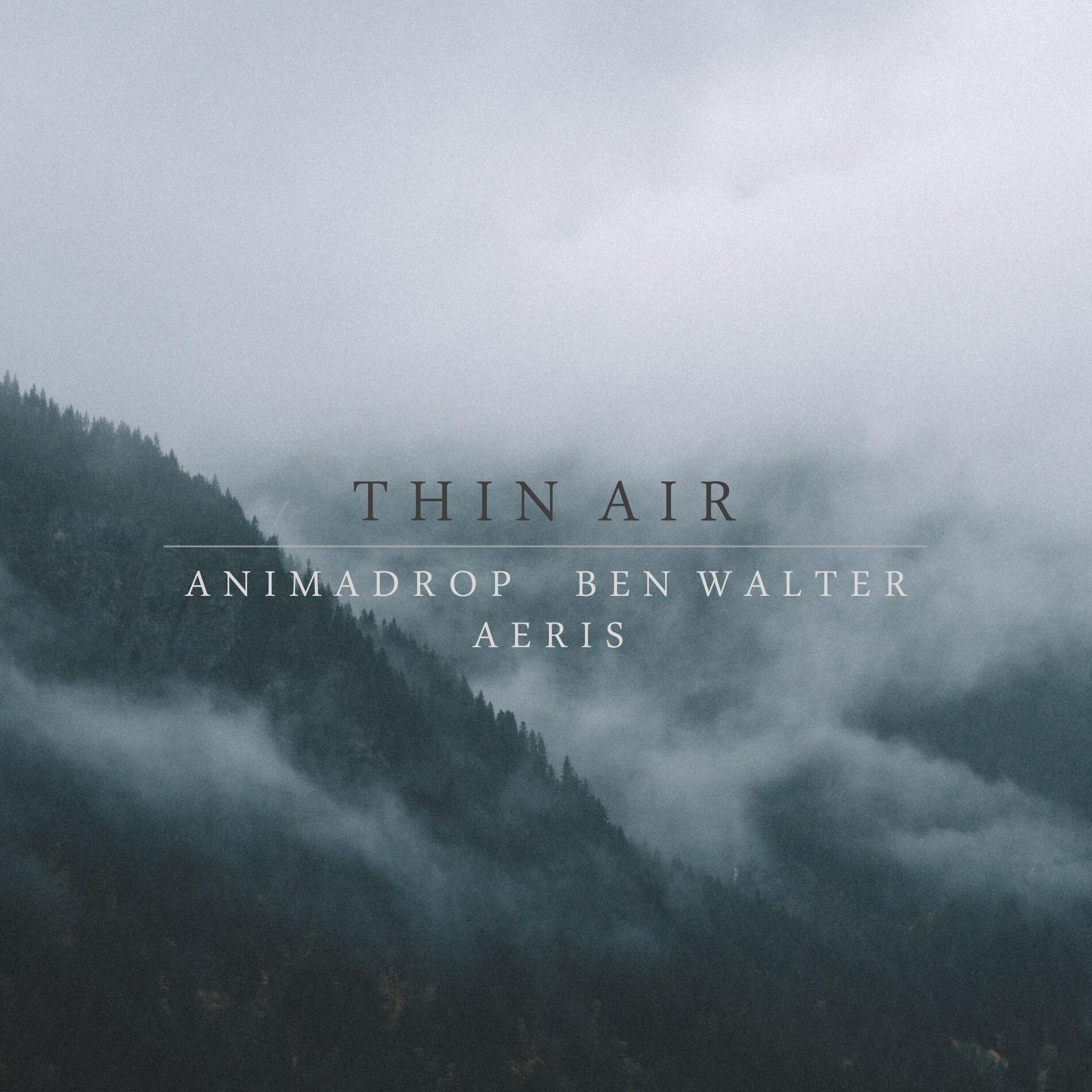 Album cover of Thin Air