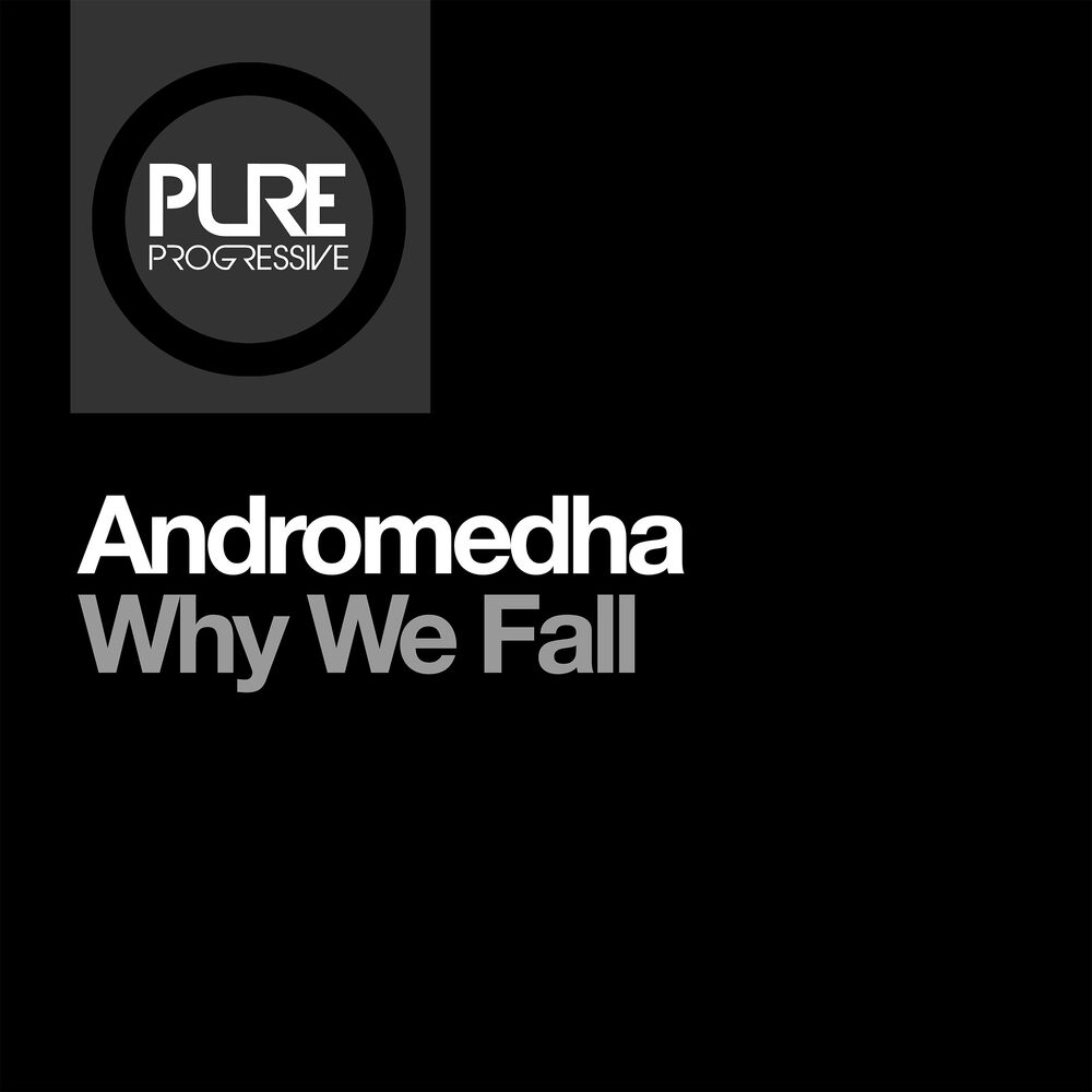 Picture of Why We Fall