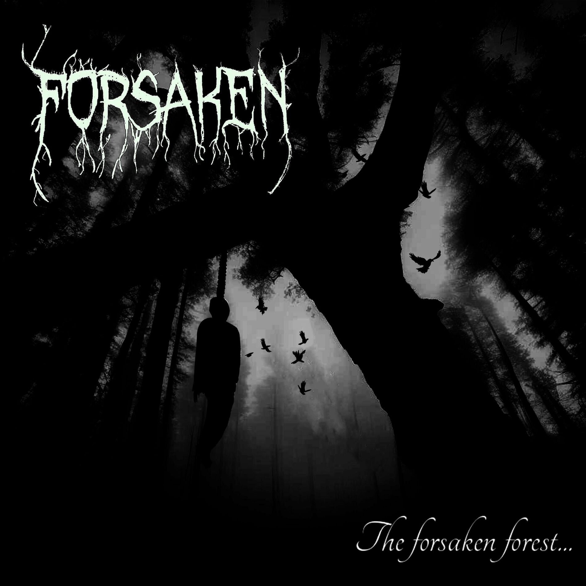 Album cover of The Forsaken Forest