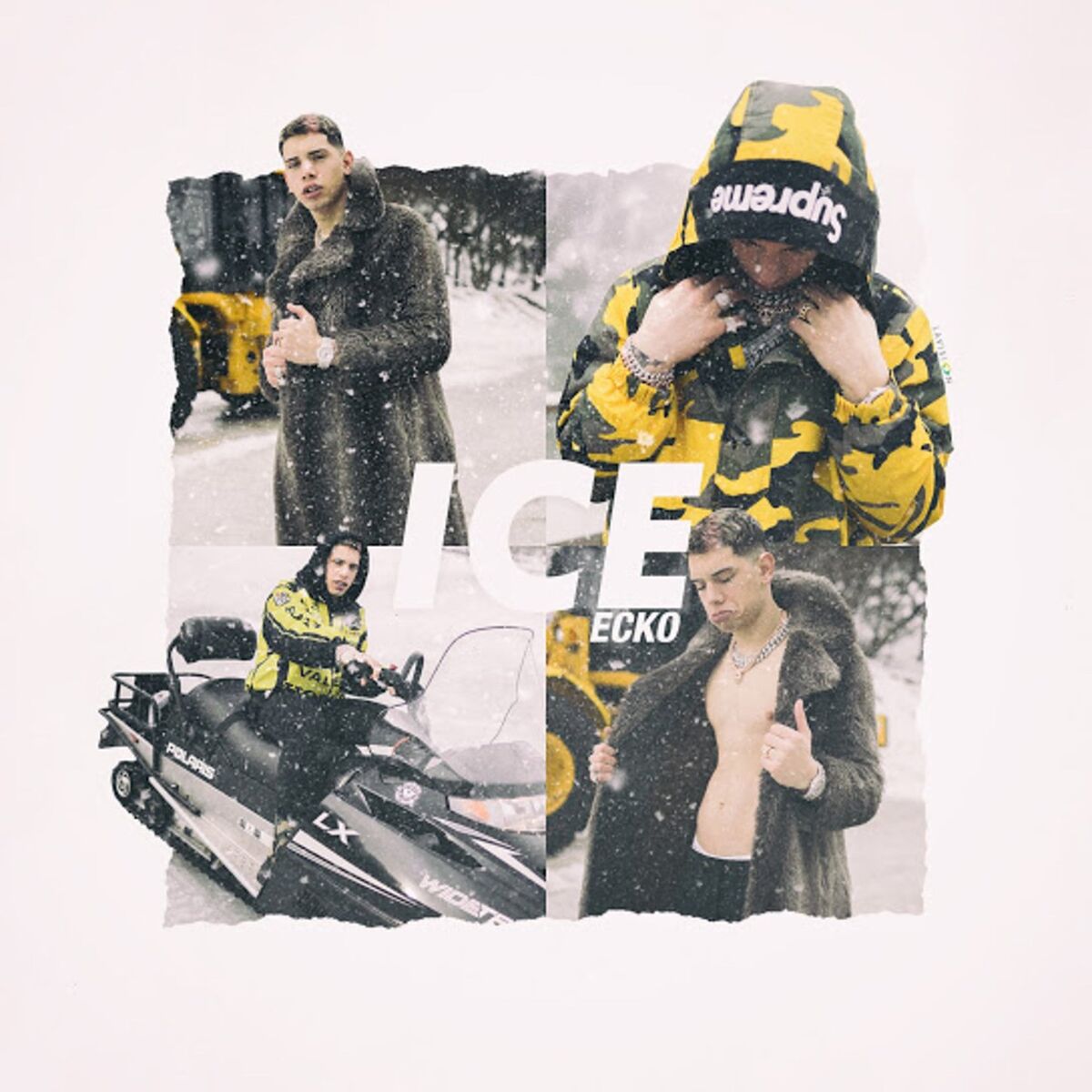 Album cover of Ice