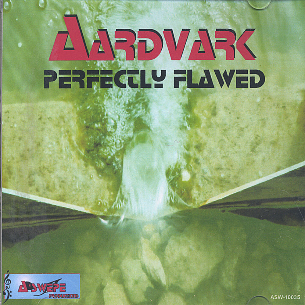 Picture of Perfectly Flawed
