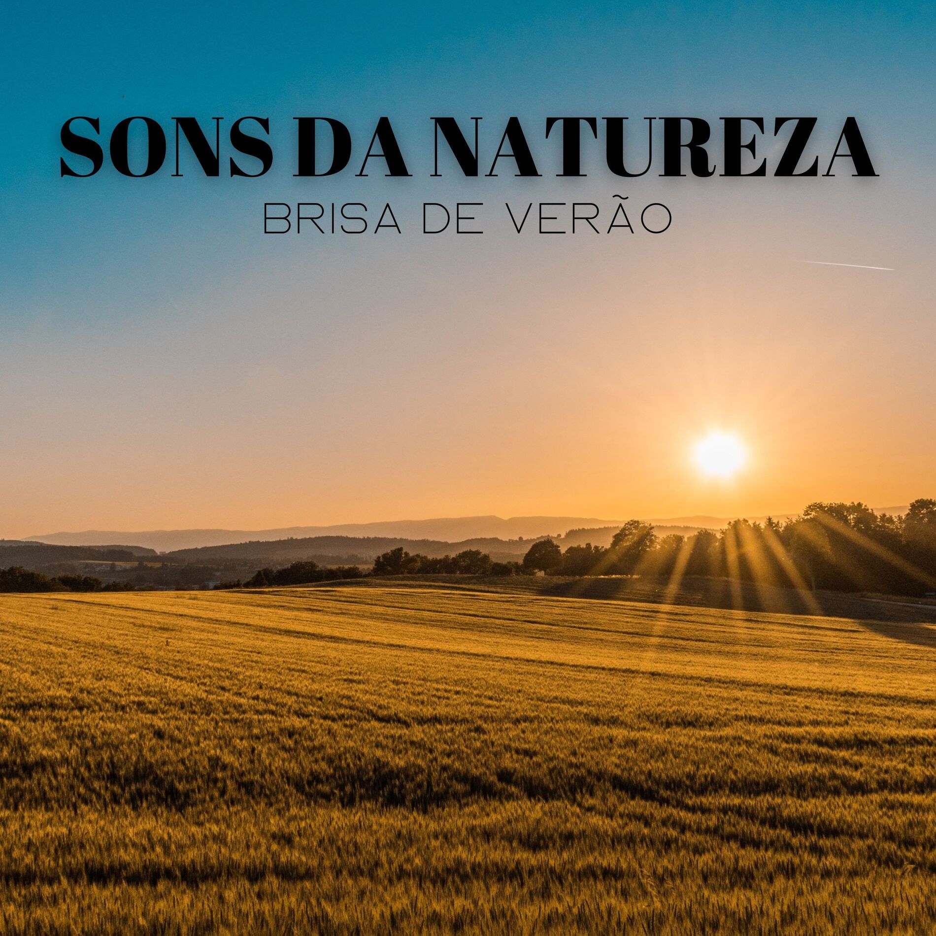 Album cover of Sons Da Natureza: Brisa De Verão