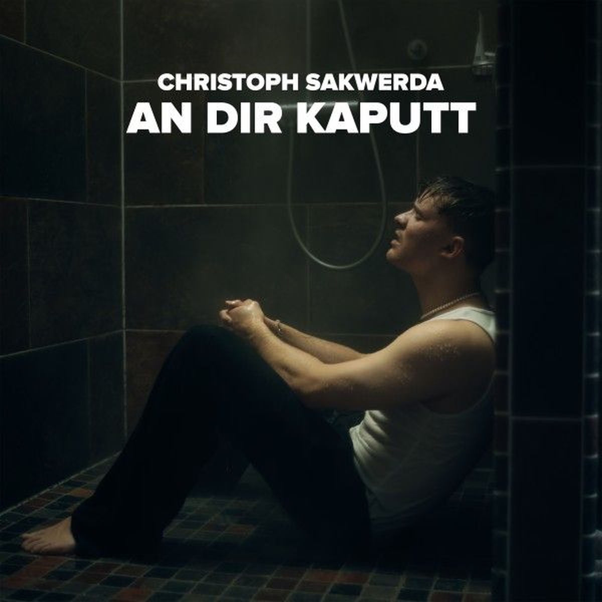 Album cover of An dir kaputt