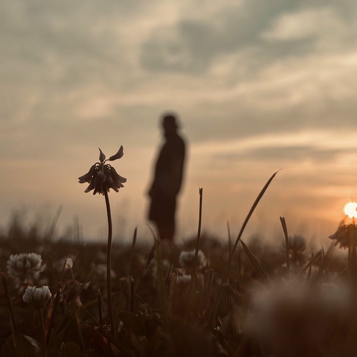 Album cover of Away from it All