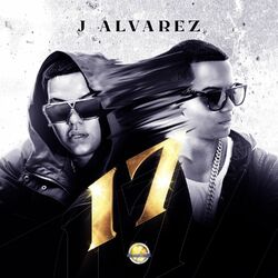 Cover of 17