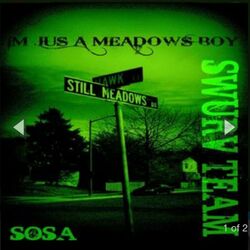 Cover of IM JUS A MEADOWS BOY