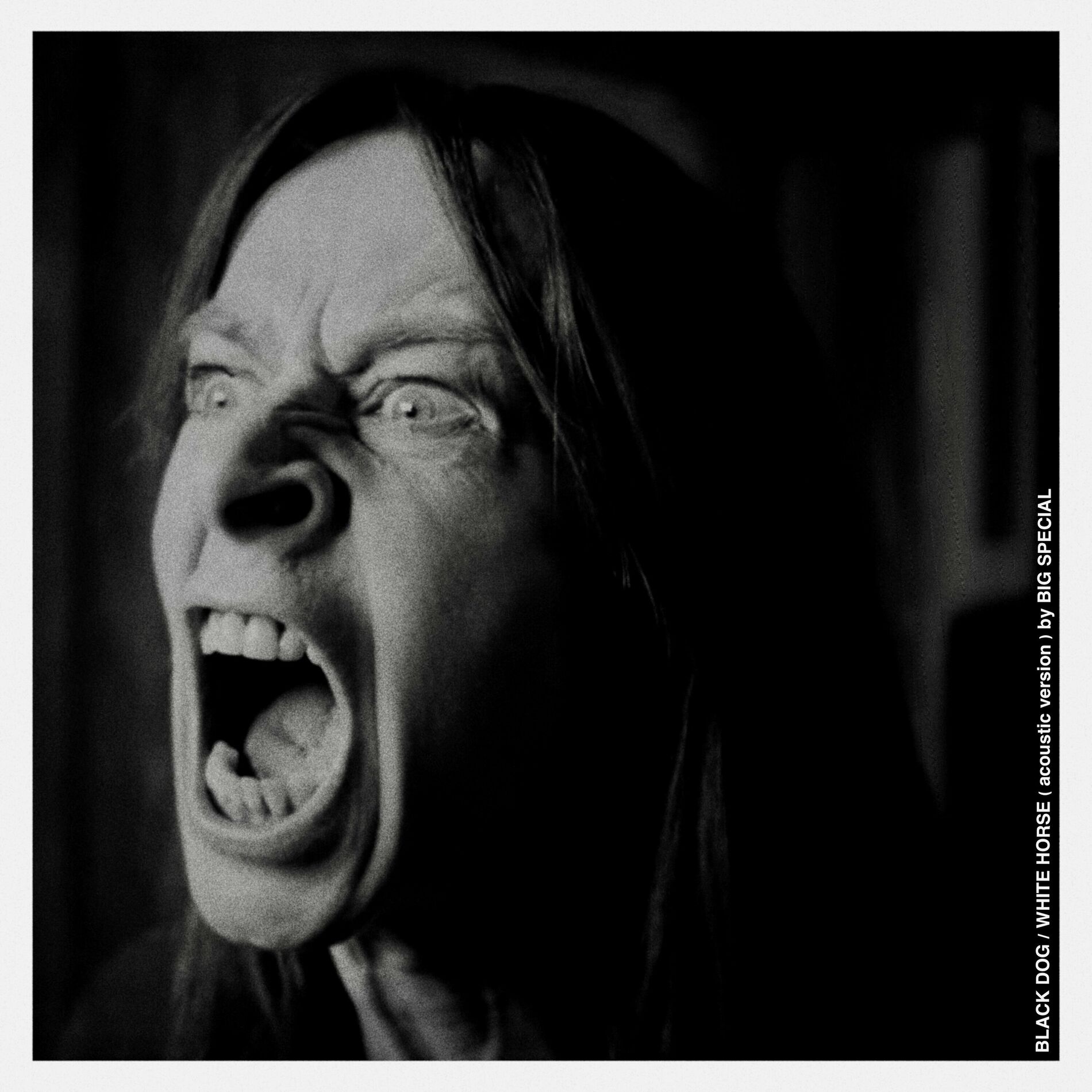 Album cover of BLACK DOG / WHITE HORSE (Acoustic Version)