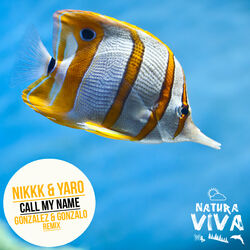 Cover of Call My Name