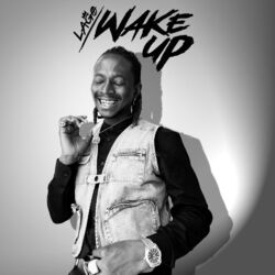 Cover of Wake Up