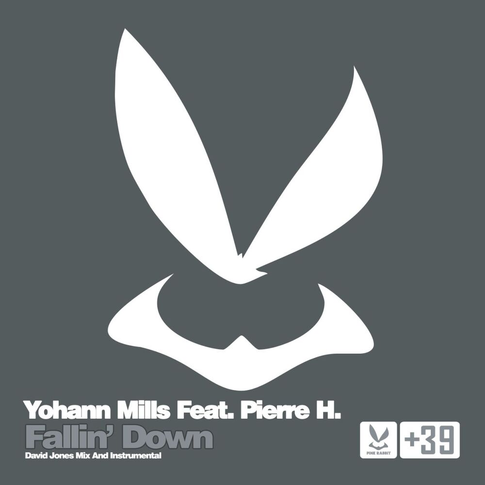 Picture of Fallin' Down (feat. Pierre H.)