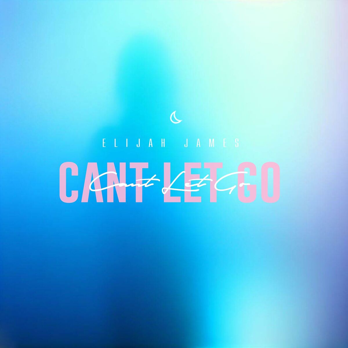Album cover of Can't Let Go