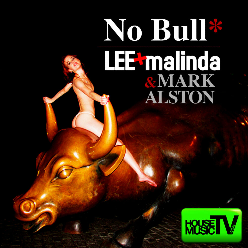 Picture of No Bull