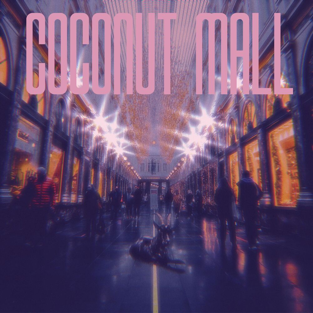 Picture of COCONUT MALL (feat. Henry Seth)