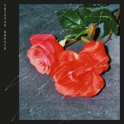 Cover of Einer liebt immer mehr