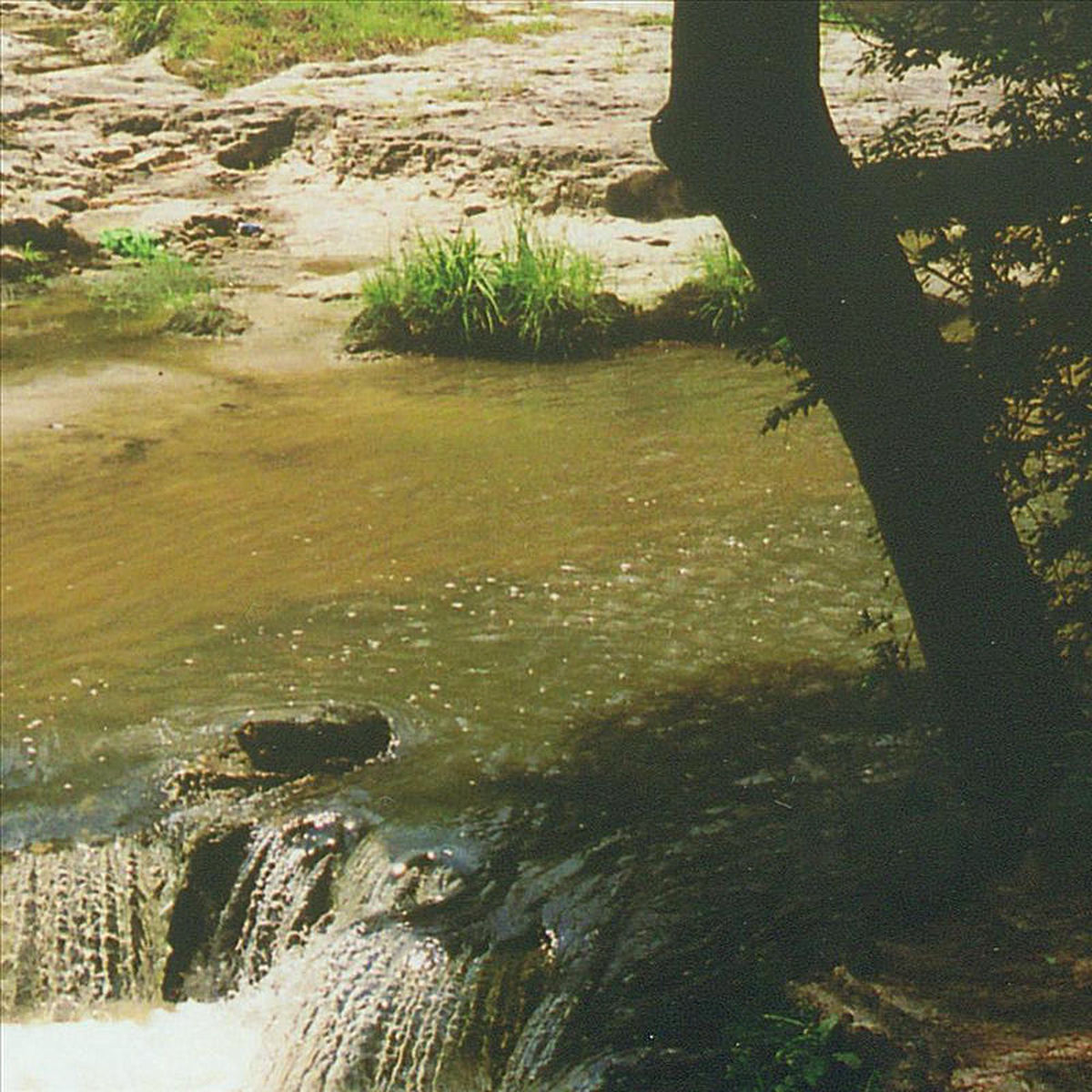 Album cover of Natchitoches