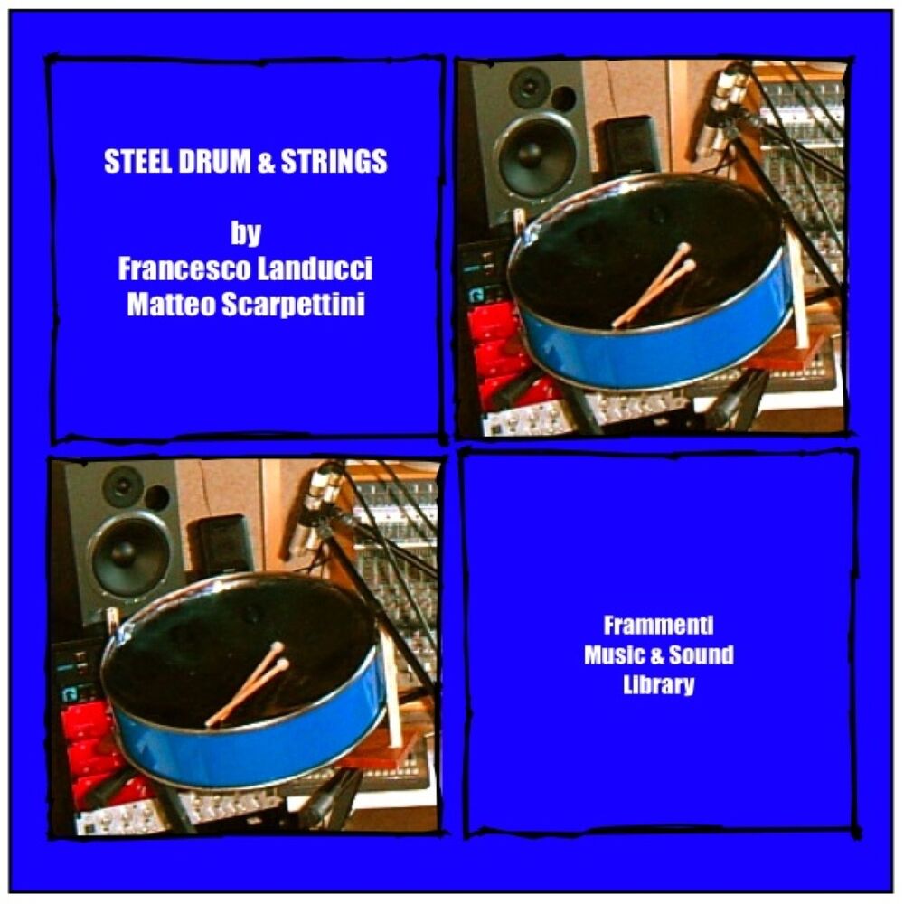 Picture of Steel Drum and Strings