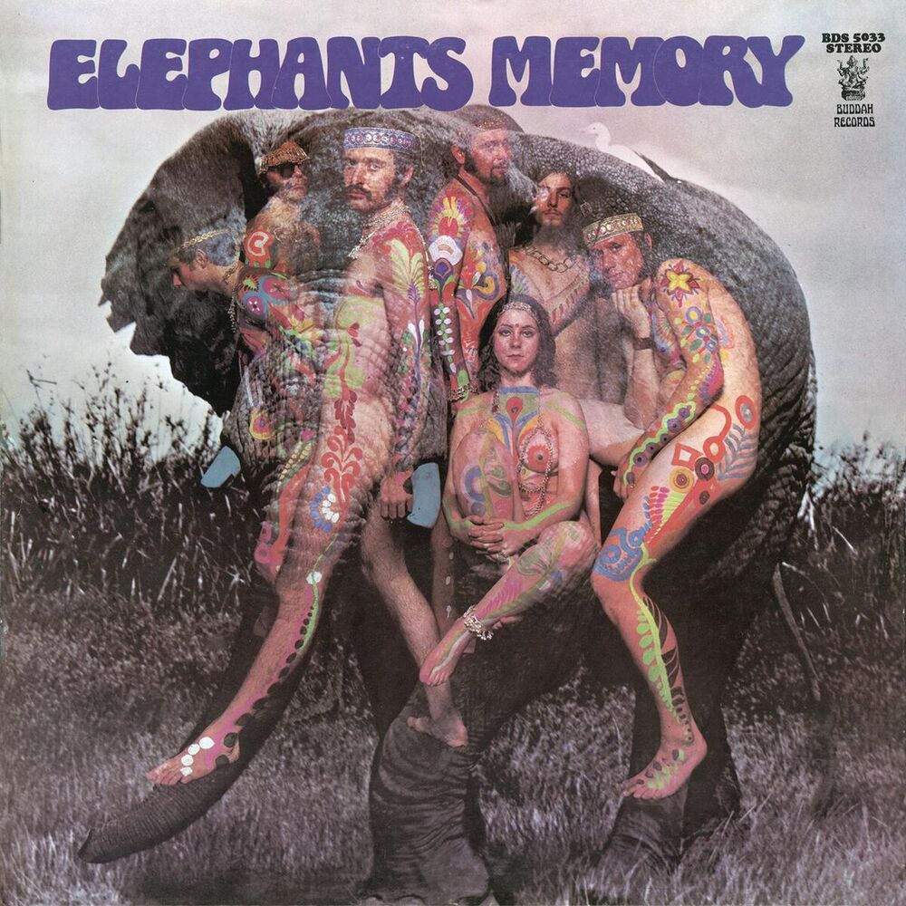 Picture of Elephant's Memory