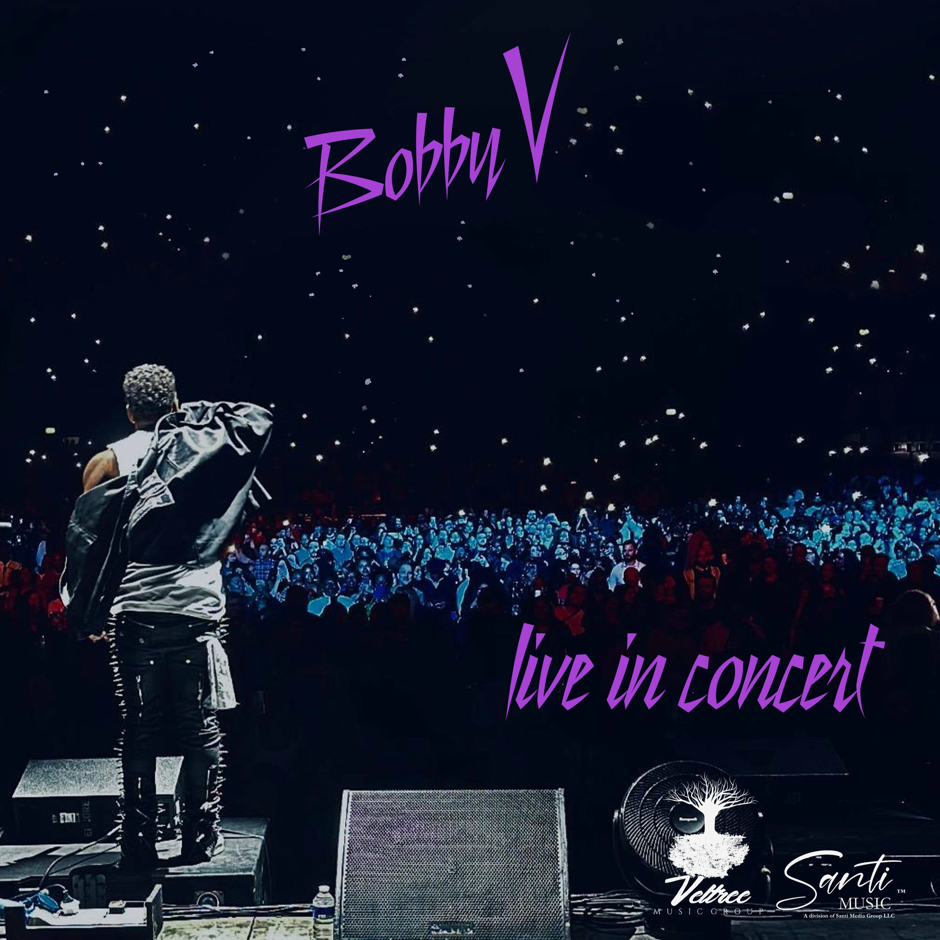 Album cover of BOBBY V LIVE IN CONCERT