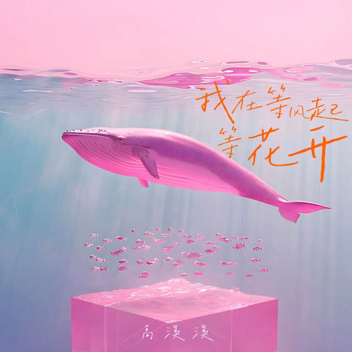 我在等风起等花开