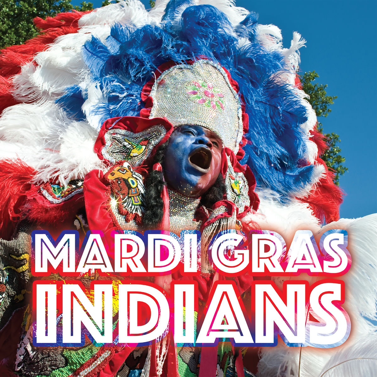 Album cover of Mardi Gras Indians