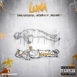 Cover of Luna