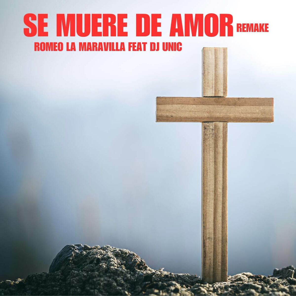 Album cover of Se Muere De Amor (Remake)