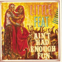 Cover of Ain't Had Enough Fun