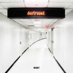 Cover of Destroyed