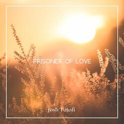 Cover of Prisoner of Love